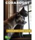 Coraboost - Corazón perro y gato