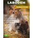 Labodem Piel - Skin, Hair, Digestion Dog & Cat